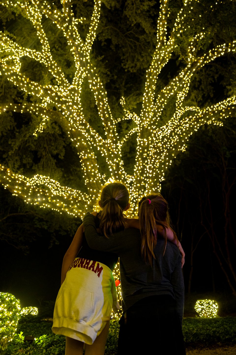 Christmas Lights in Baton Rouge | Visit Baton Rouge
