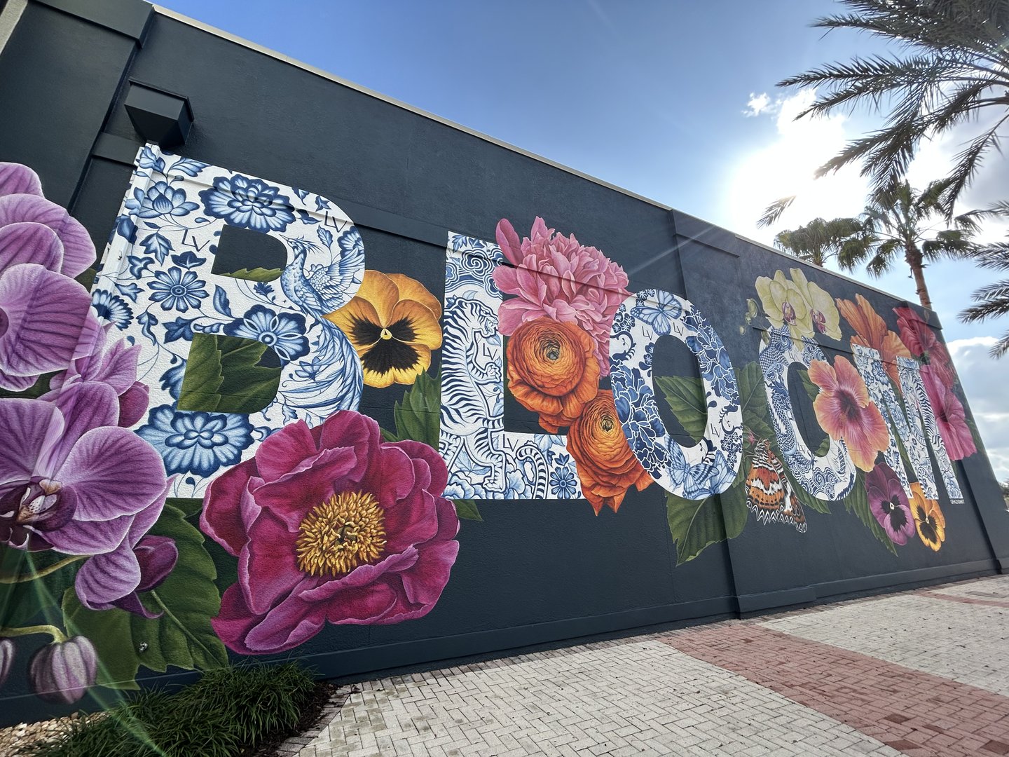 Photo by user , user did not provide a caption