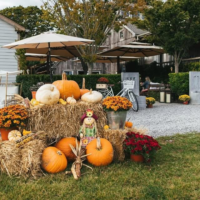 rosehillvineyards