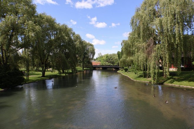 A serene river flows through a lush green park, bordered by willow trees. A bridge arches over the water, with ducks swimming nearby.