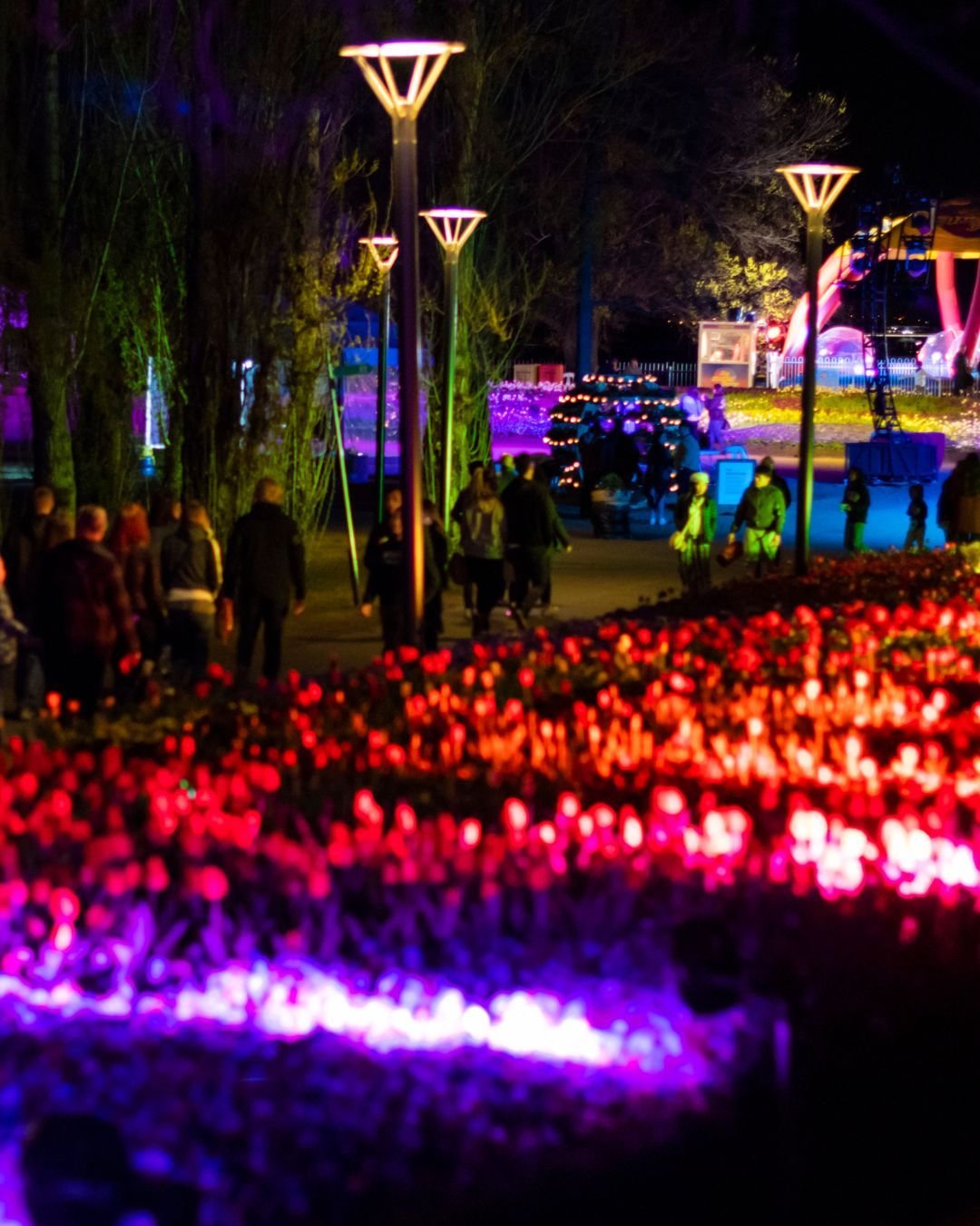 Vibrant flower beds illuminated by colorful lights, with visitors strolling along pathways in a lively evening setting.