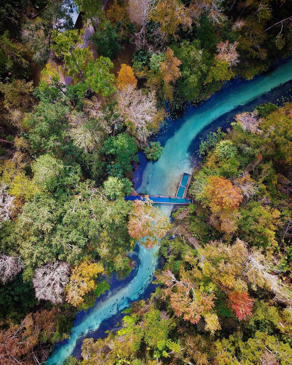Aerial view of a winding river surrounded by vibrant autumn foliage, with a small wooden bridge crossing the water. Lush greenery enhances the scene.
