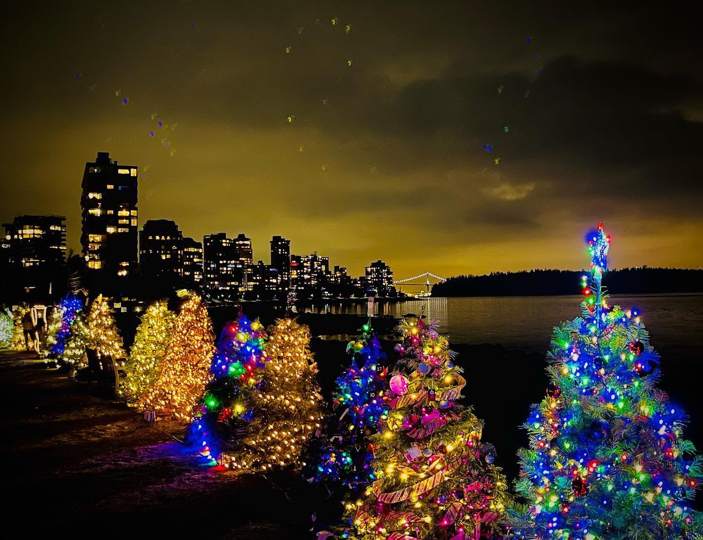 Best vancouver santa experiences — photos, parades & magical holiday moments 53 Image