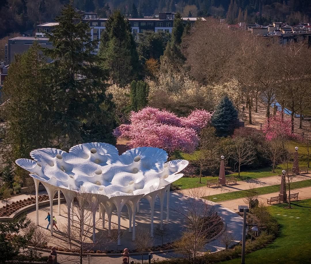 スタンピンアップ　BLOSSOMS IN BLOOM バンドル Sakura in the floating world. Cherry Blossoms at Stanton Park