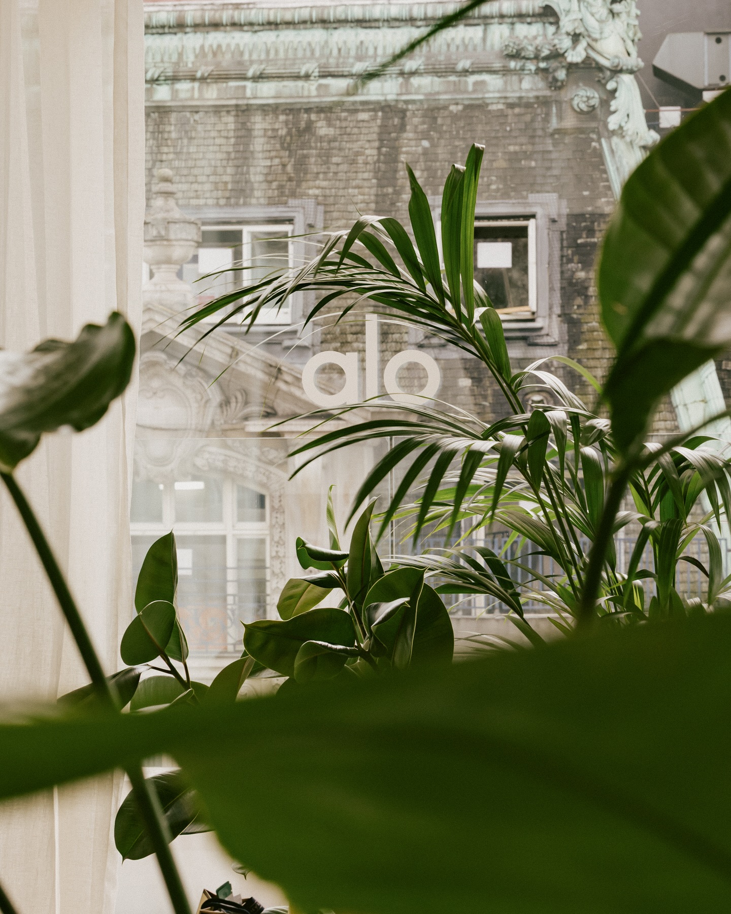 our-brands-starwood-hotels