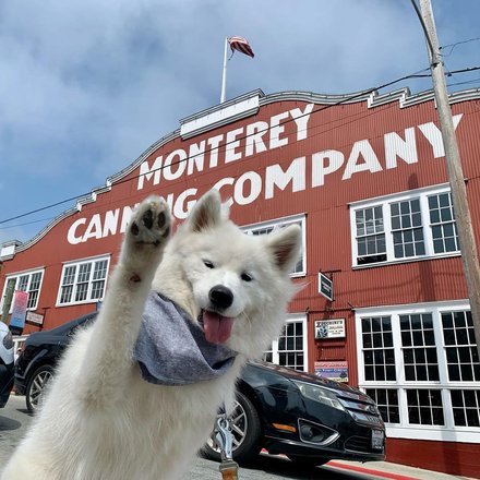 Nico's Ice Cream - Cannery Row