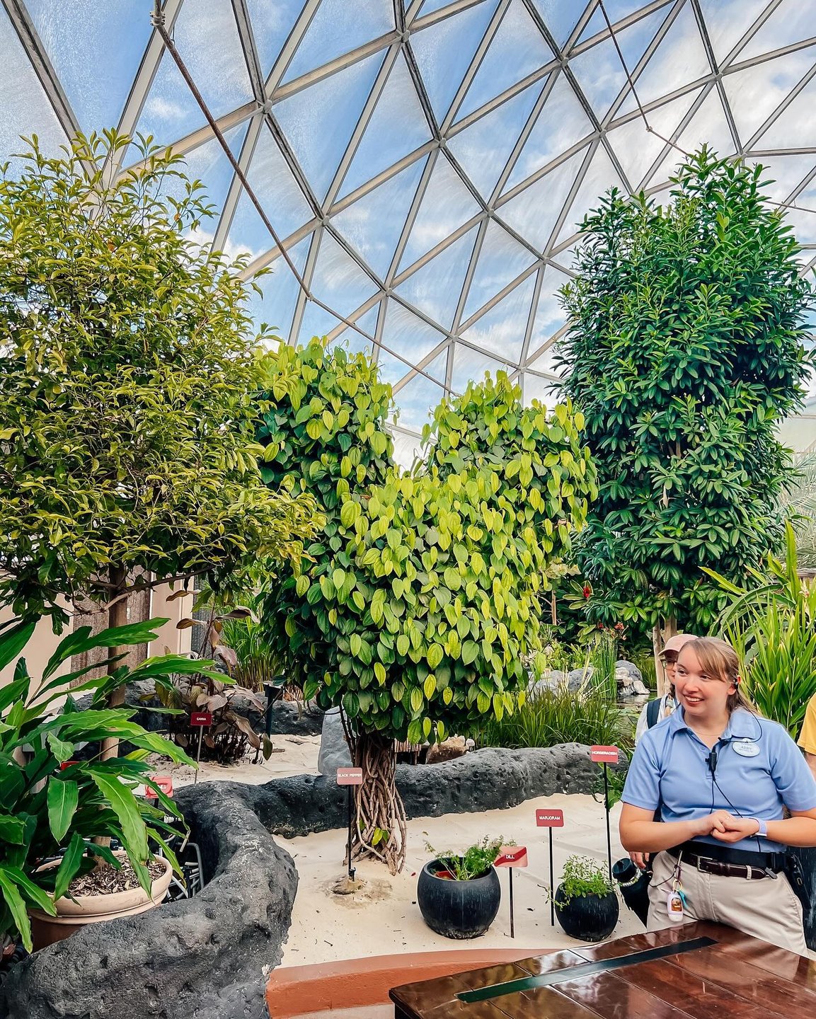 A lush indoor garden features diverse tropical plants under a glass dome. A guide stands beside a heart-shaped tree, engaging visitors.