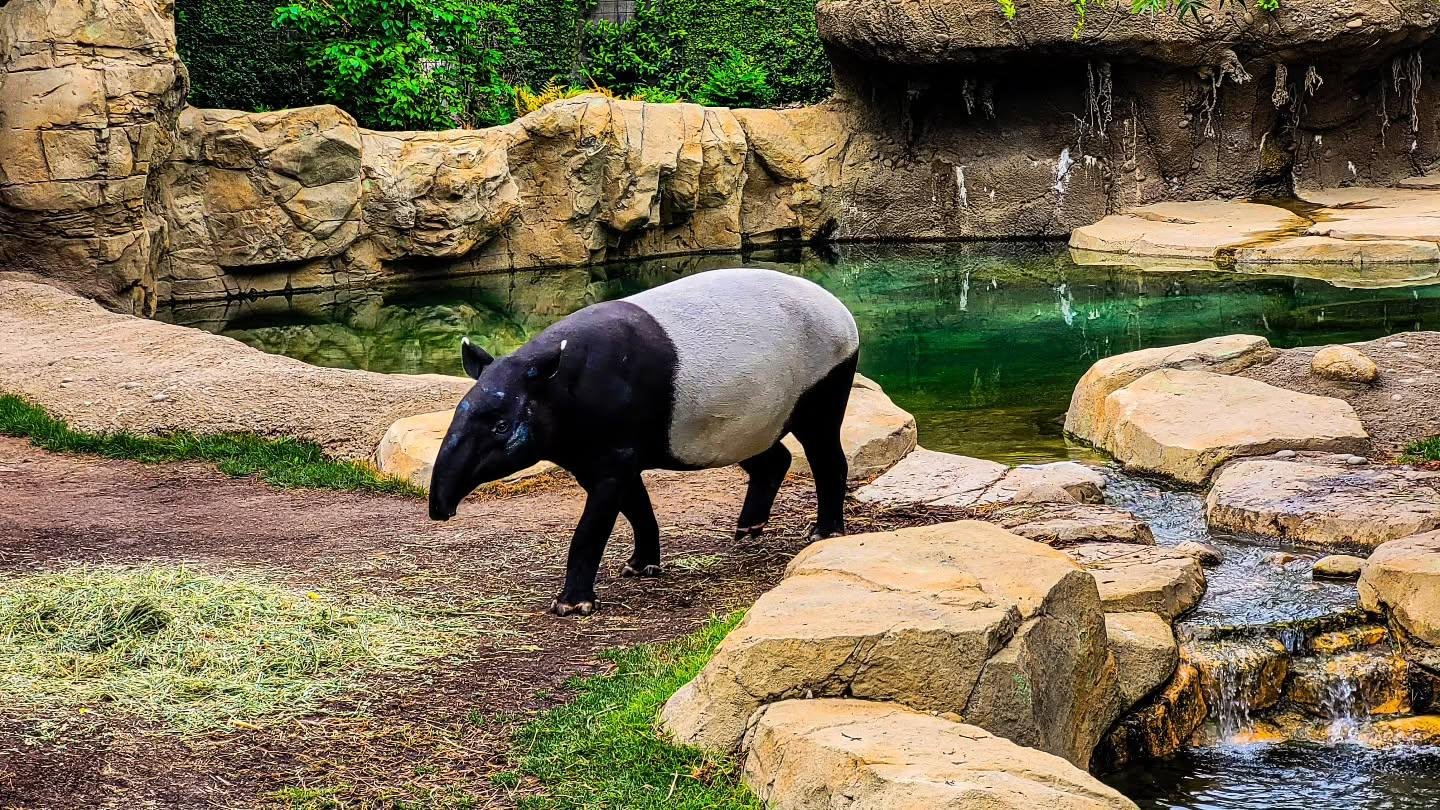 Fresno Chaffee Zoo