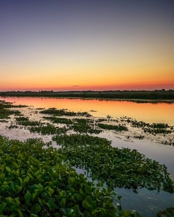 Bayou Segnette State Park | Louisiana State Parks - Culture