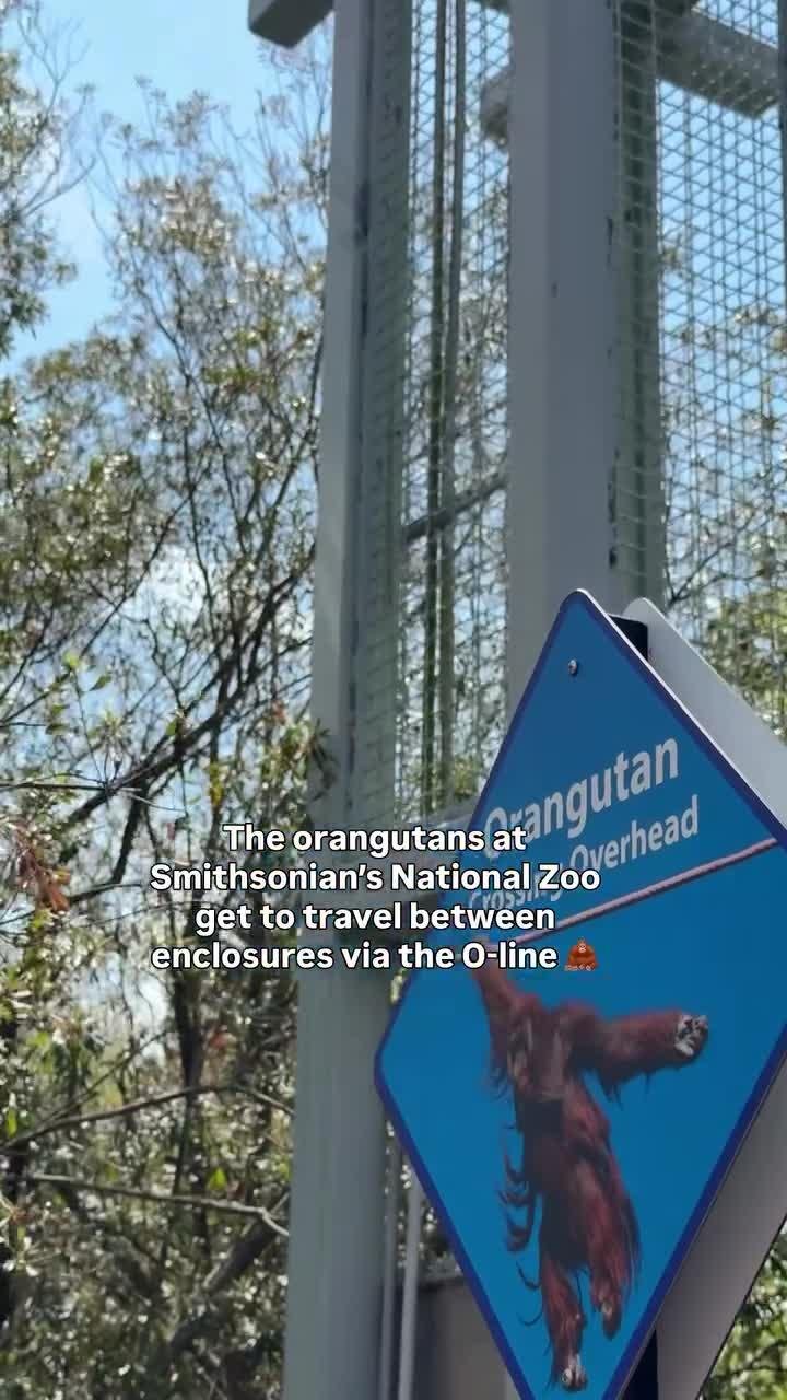 Baseball Top - Tu Eres La Medicina - Black, image size:720x1280