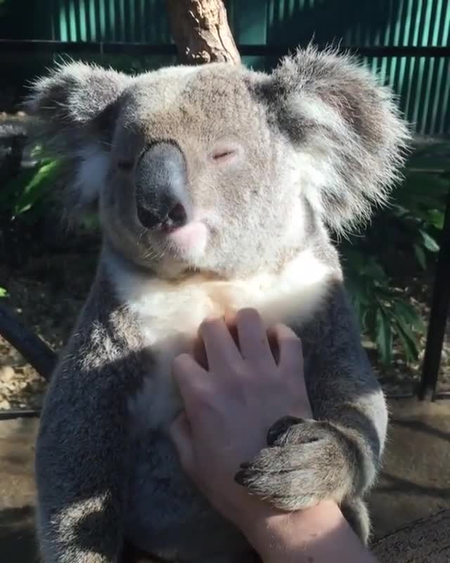 Instagram image