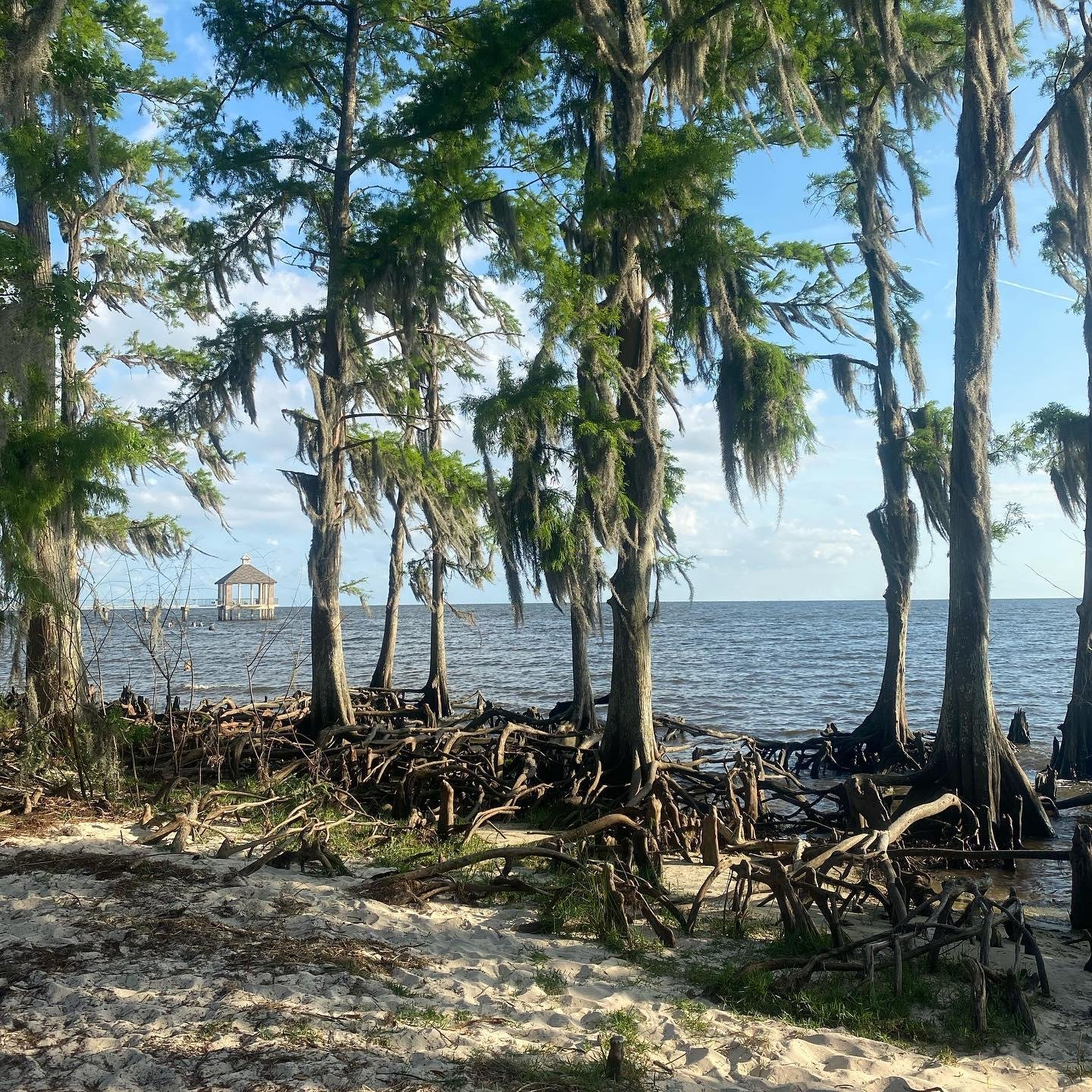 Fontainebleau State Park Lake