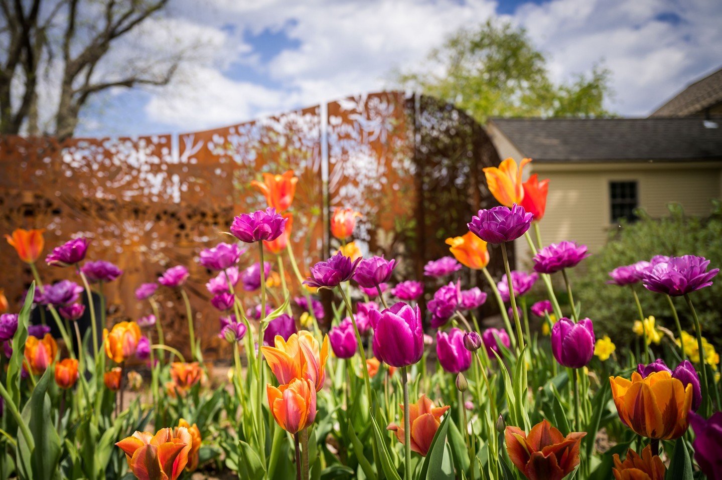 Spring In Massachusetts
