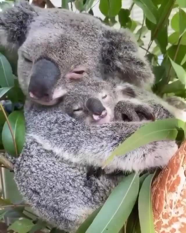 Instagram image