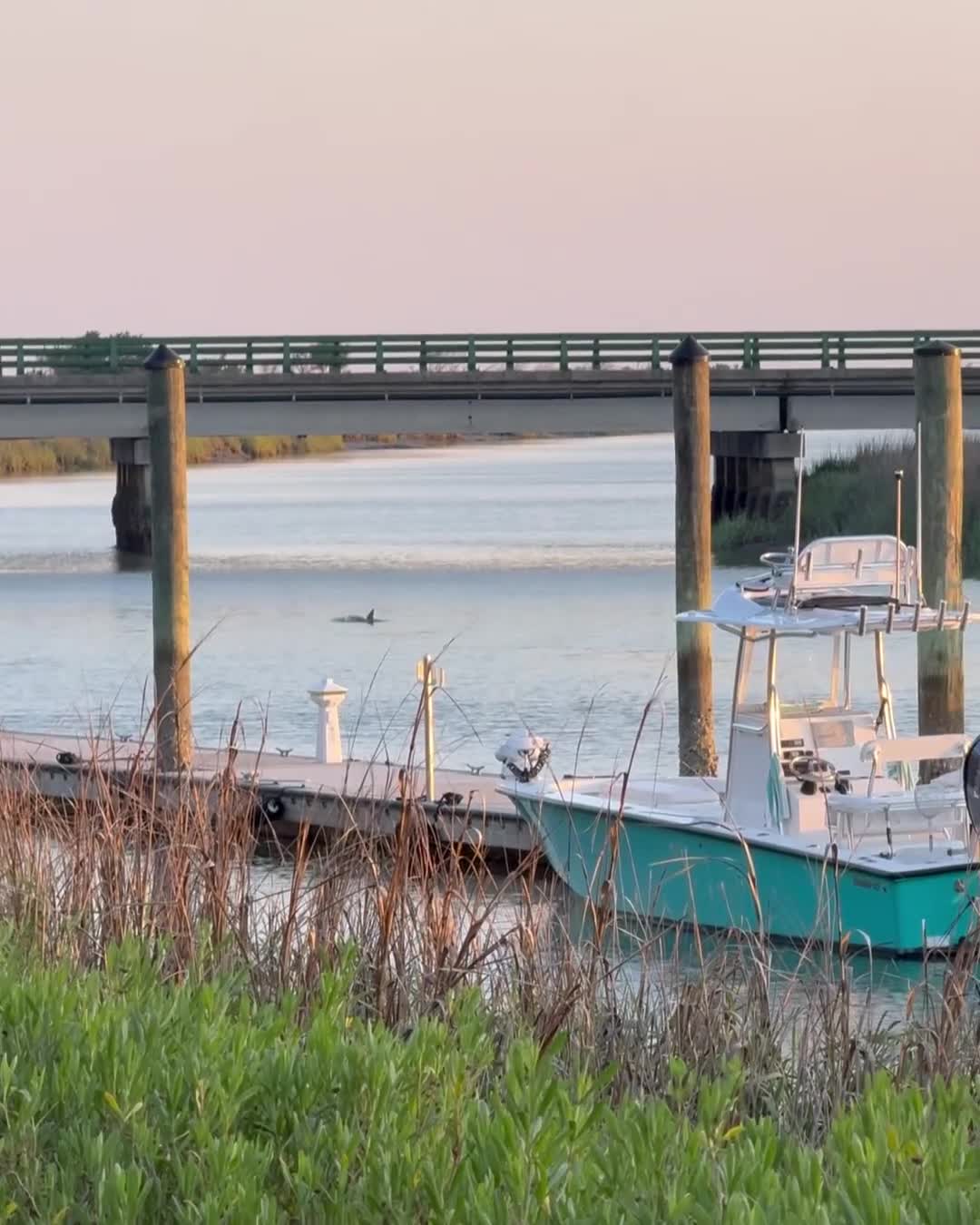 Bridge Bridge