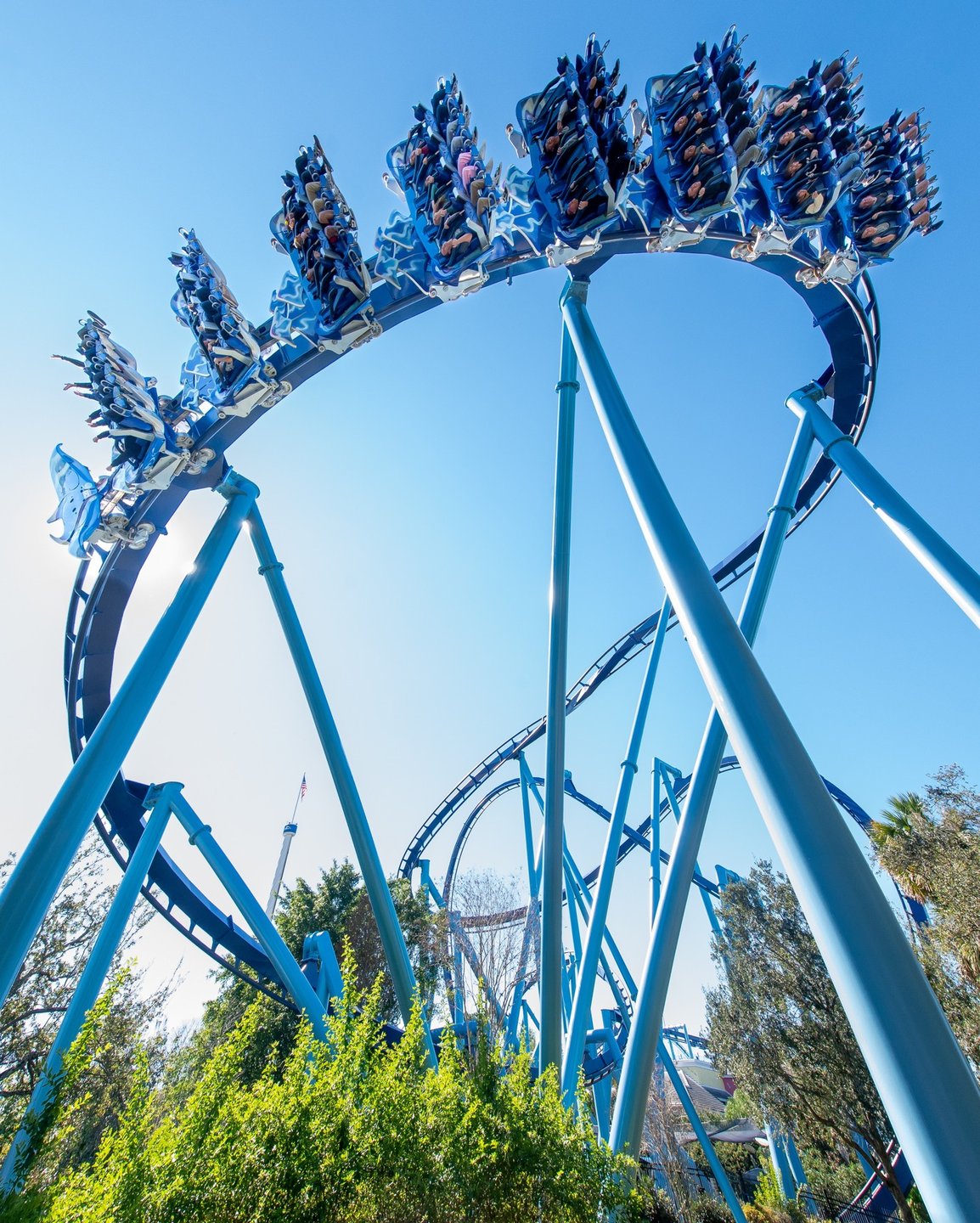 A blue roller coaster loops high against a clear sky, with riders experiencing the thrill of the ride. Lush greenery surrounds the base.