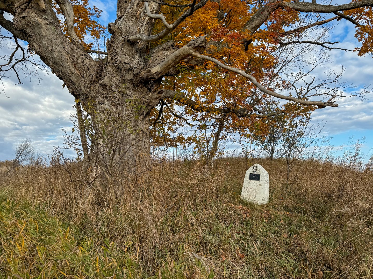 Old Indian Trail - Cadillac, Michigan Area Visitors Bureau