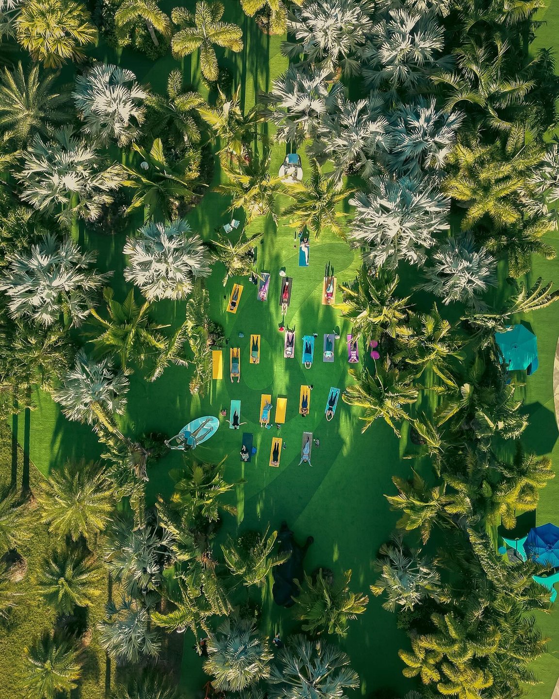 Aerial view of a lush green area surrounded by palm trees, featuring colorful lounge chairs and sunbathers relaxing on the grass.