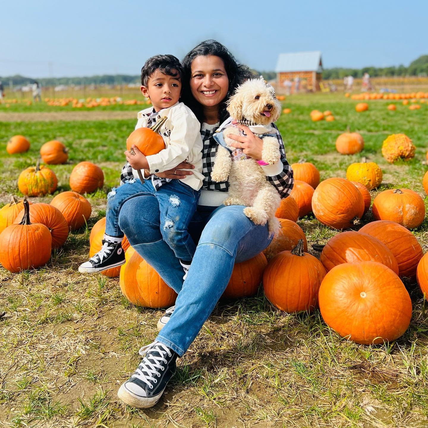 Happy fall + dog mom Monday!! 🎃 
•
•
OOTD | Stewart banana thedeluxepup Code : ALBUS10
•
•
•
•
•
•
•
#fall #pumpkin #pumpkinpatch #pumpkinfarm #pumpkinspice #fallvibes #happyfall #dogmom #dogmomsofinstagram #dogmomaf #maltipoo #maltipoolove #maltipoopuppy #maltipoosofinstagram #maltipoonation #dogsoflongisland #waterdrinkerfamilyfarm #waterdrinkerlongisland #longisland #longislandny #dogsofnewyork