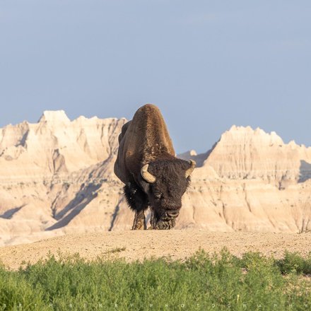 Why Visit Badlands National Park? | 3 Must-See Highlights
