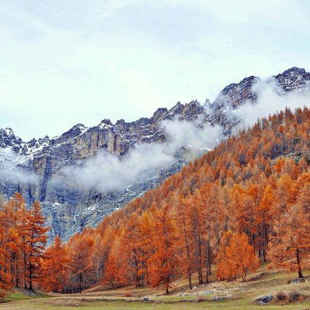 The top 5 things to do in Bormio in the autumn