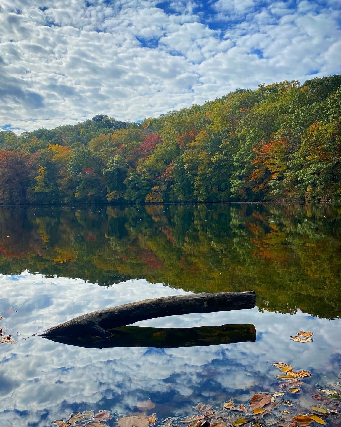 Sunday Morning Splendor! 🍁🍂🍁 Autumn has finally arrived on the North Shore of Long Island….