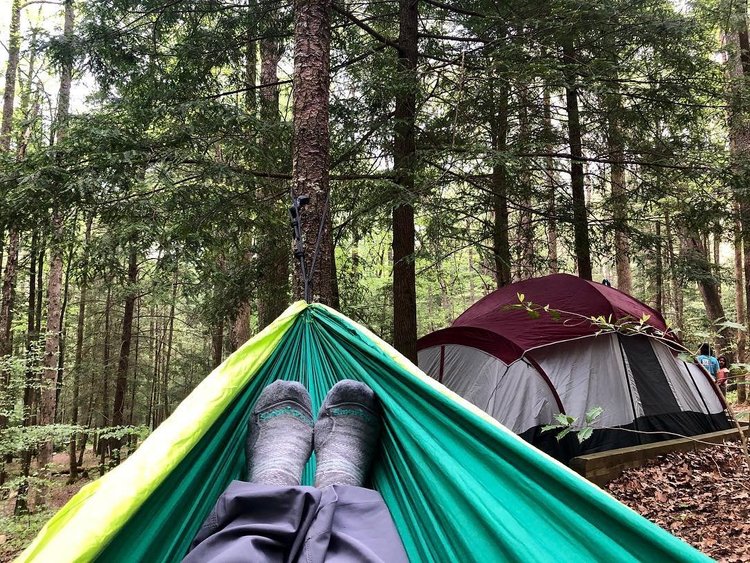 Vogel State Park | Department Of Natural Resources Division