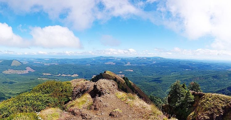 Saddle Mountain State Natural Area - Oregon State Parks