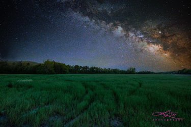 A vast green field under a starry night sky, showcasing the Milky Way and distant trees. The scene evokes a sense of tranquility and wonder.