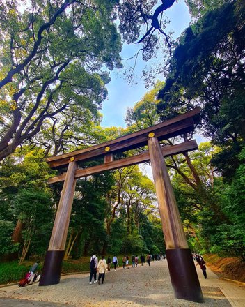 tourhub | Meiji Jingu Shrine Crowdriff Gallery