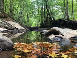 Sweetwater Creek State Park - Photo 3