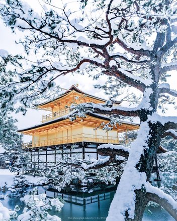 tourhub | Kinkaku-ji (golden pavilion) Crowdriff Gallery 