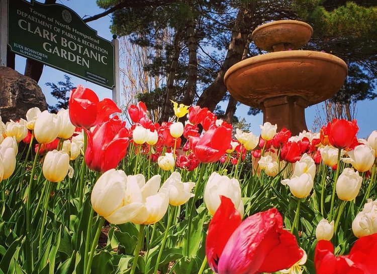 Fields of Bloom A Collection of Garden Sanctuaries on Long Island