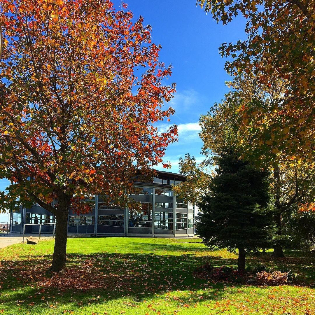 We made it to the end of the work week y’all! Another most #wonderful #time of the year #fall #photo courtesy of @greenportnorthfork 

🍎#tree #leafpeeping #bluesky #sun #grass #nature #northfork #greenport #longisland #newyork #happy #friday #love this place #beautiful #peace #relax #travel #instago #instagood