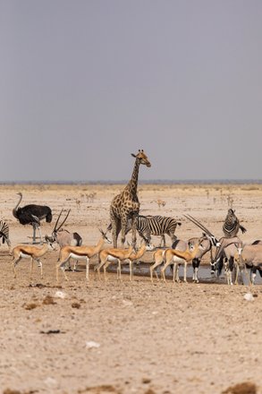 tourhub | Safari Tours Crowdriff Gallery