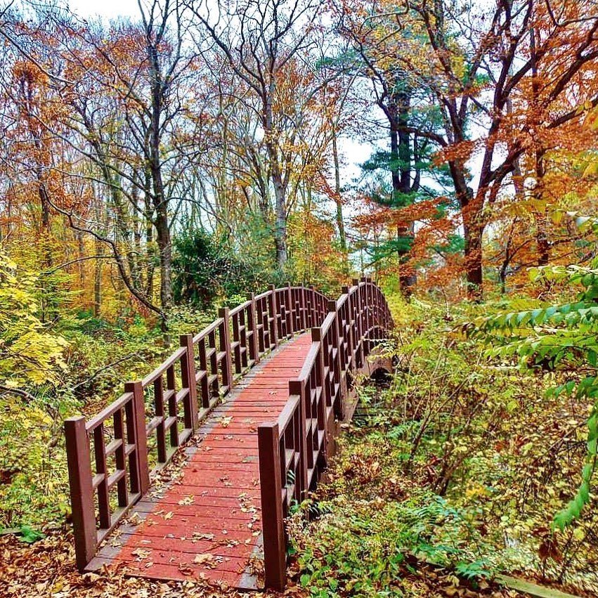 Old Westbury Gardens is probably my favorite place to take landscape photos. The fall colors there are just so beautiful! 🍁🍃