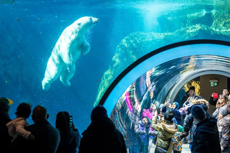Winter Top 50 | Tourism Winnipeg