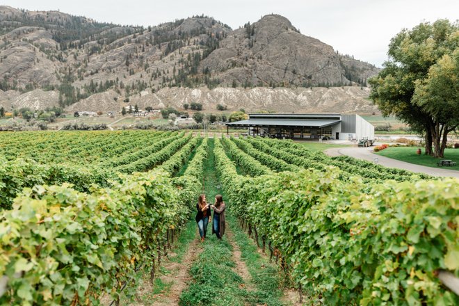 Two women walk through a lush vineyard, surrounded by rows of grapevines and a backdrop of rolling hills and mountains. A modern building is visible nearby.