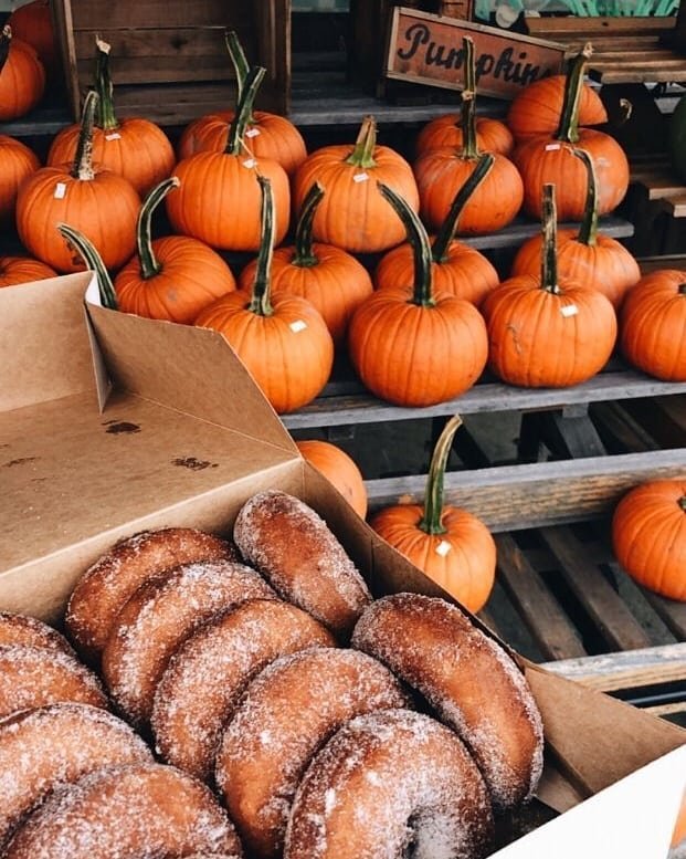 October essentials 🍁