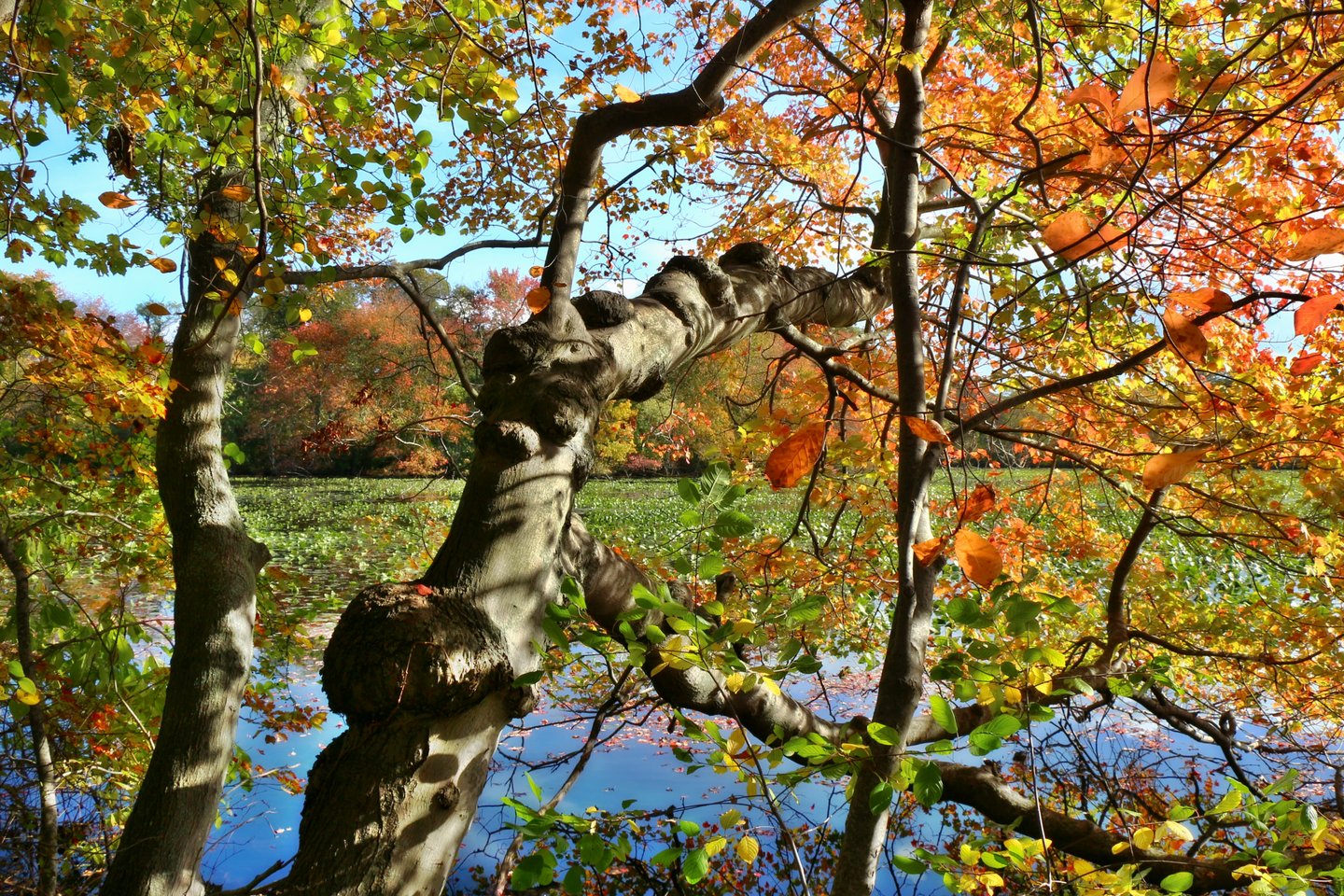 User generated photo