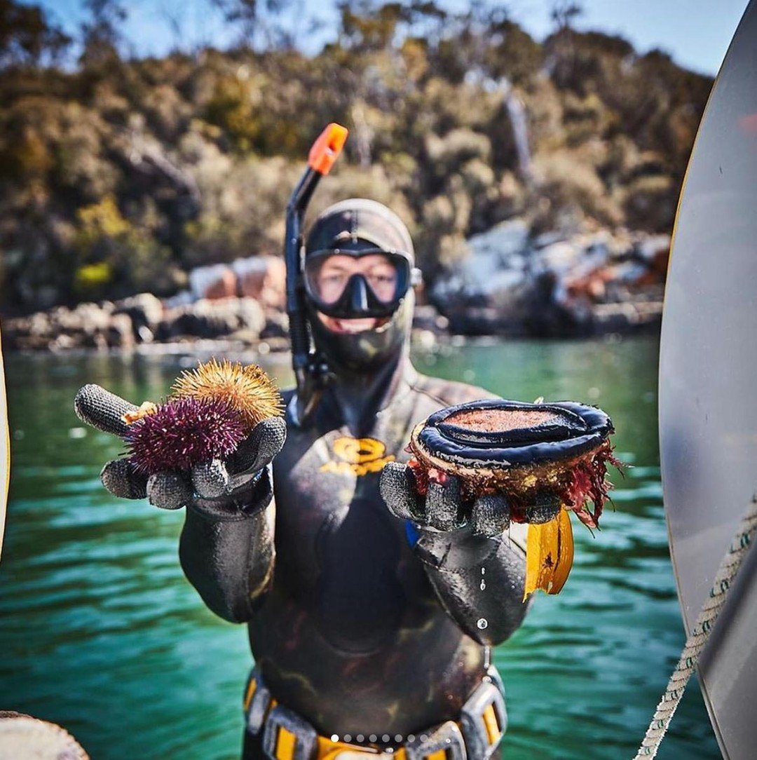 A diver in a wetsuit holds a sea urchin and a shell in each hand, surrounded by clear water and rocky shoreline. Lush greenery is visible in the background.