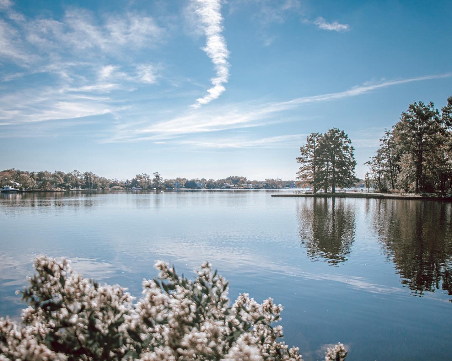 “Not having the best situation, but seeing the best in your situation is the key to happiness.” -Marie Forleo

#landscapephotography #park #photography #longisland #ny #love #photographerusa #photooftheday #photoshoot #photographylovers #perfect #pictureoftheday #familyphotography #familyphotos #PJS #portjeff #photographers #PJ #photographer #canonphotography #canon #canonphoto #canonusa #nature #canonrebelt5i #adobelightroom #stilllifephotography #lake #arboretum