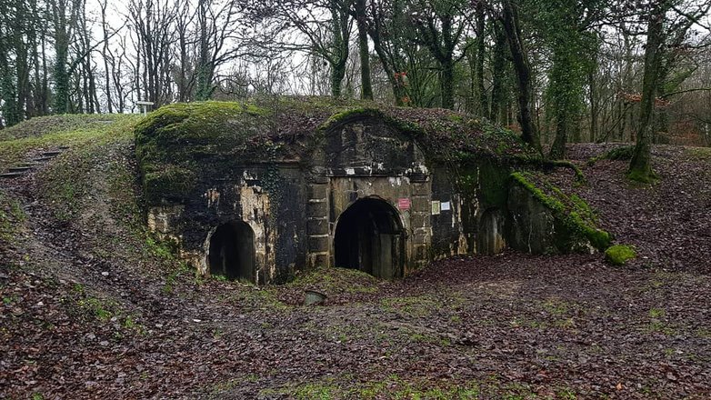 tourhub | Battlefield Tours Crowdriff Gallery