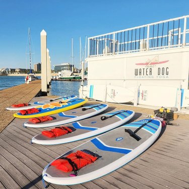 Colorful stand-up paddleboards lined up on a wooden dock by the water, with a floating yoga studio in the background. Clear skies and boats visible.
