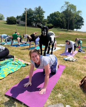 A group of people practicing yoga outdoors on colorful mats, with a goat playfully interacting with a participant in the foreground.