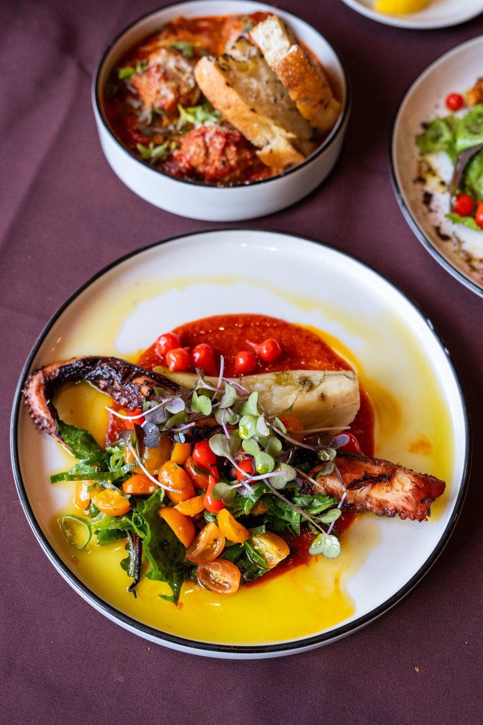 A beautifully plated dish featuring grilled octopus on a bed of vibrant tomato sauce, garnished with fresh greens and cherry tomatoes.