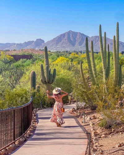 Greater Phoenix, AZ Gardens | Botanical Gardens & Arboretums