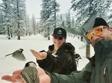 Hope everyone is staying as safe (and sane) as possible right now! ... we went for a walk and met some friendly birds on the skintrack this afternoon 
#splitboardingistheanswer #alwaysascending #earnyourturns