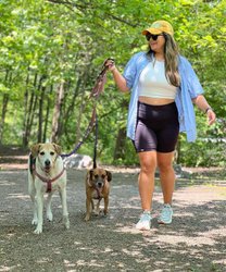A woman walks two dogs along a shaded, tree-lined path. Sunlight filters through the leaves, creating a serene outdoor atmosphere.