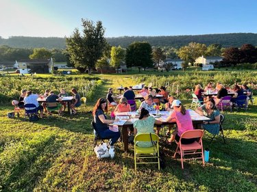 A vibrant outdoor gathering with people seated at colorful tables in a lush green field, surrounded by trees and distant hills.